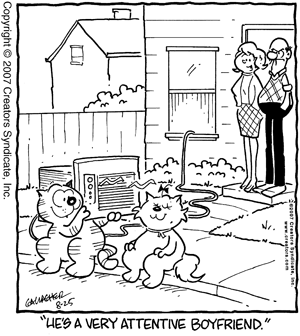 heathcliff